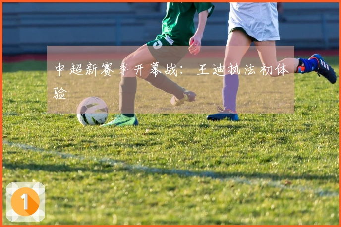 中超新赛季开幕战：王迪执法初体验